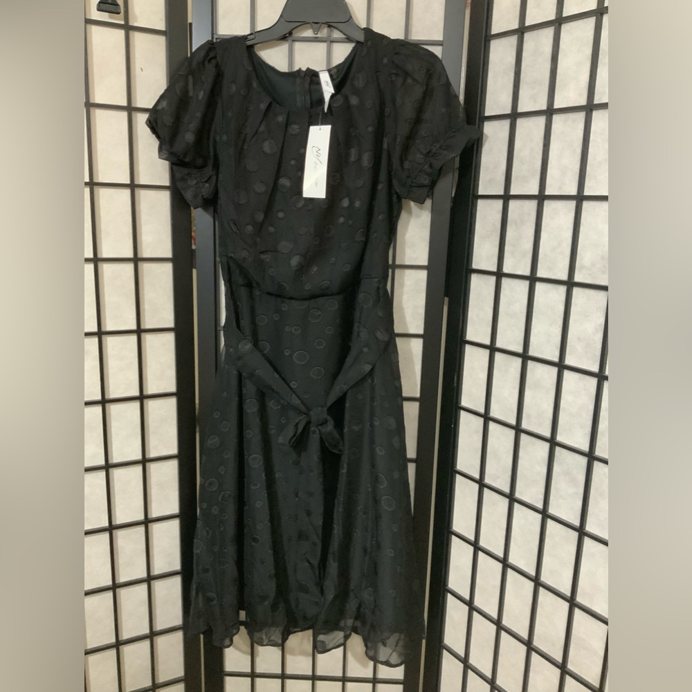 NWT NY COLLECTION Petite Short Sleeve Belted Swiss Dot Dress. Size PL